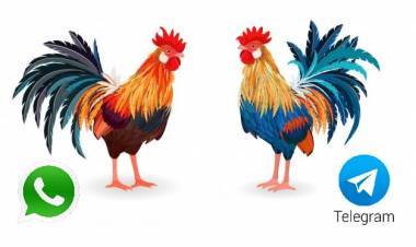 Ahora también en Telegram!!!