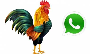 Aún no estás en el grupo de whatsapp "El canto del gallo"?