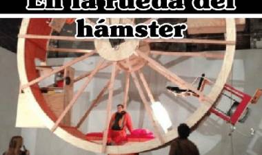 En la rueda del hámster