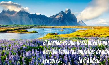 07 ODIO: “ɢᴜᴇʀʀᴀ ᴅᴇᴄʟᴀʀᴀᴅᴀ”