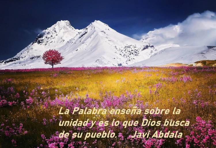 08 “LOBBY” ALIANZAS LETALES